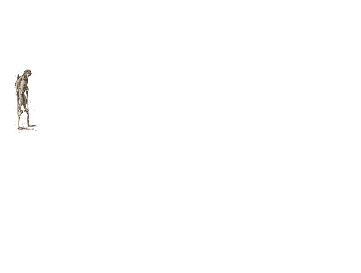 Aap 16