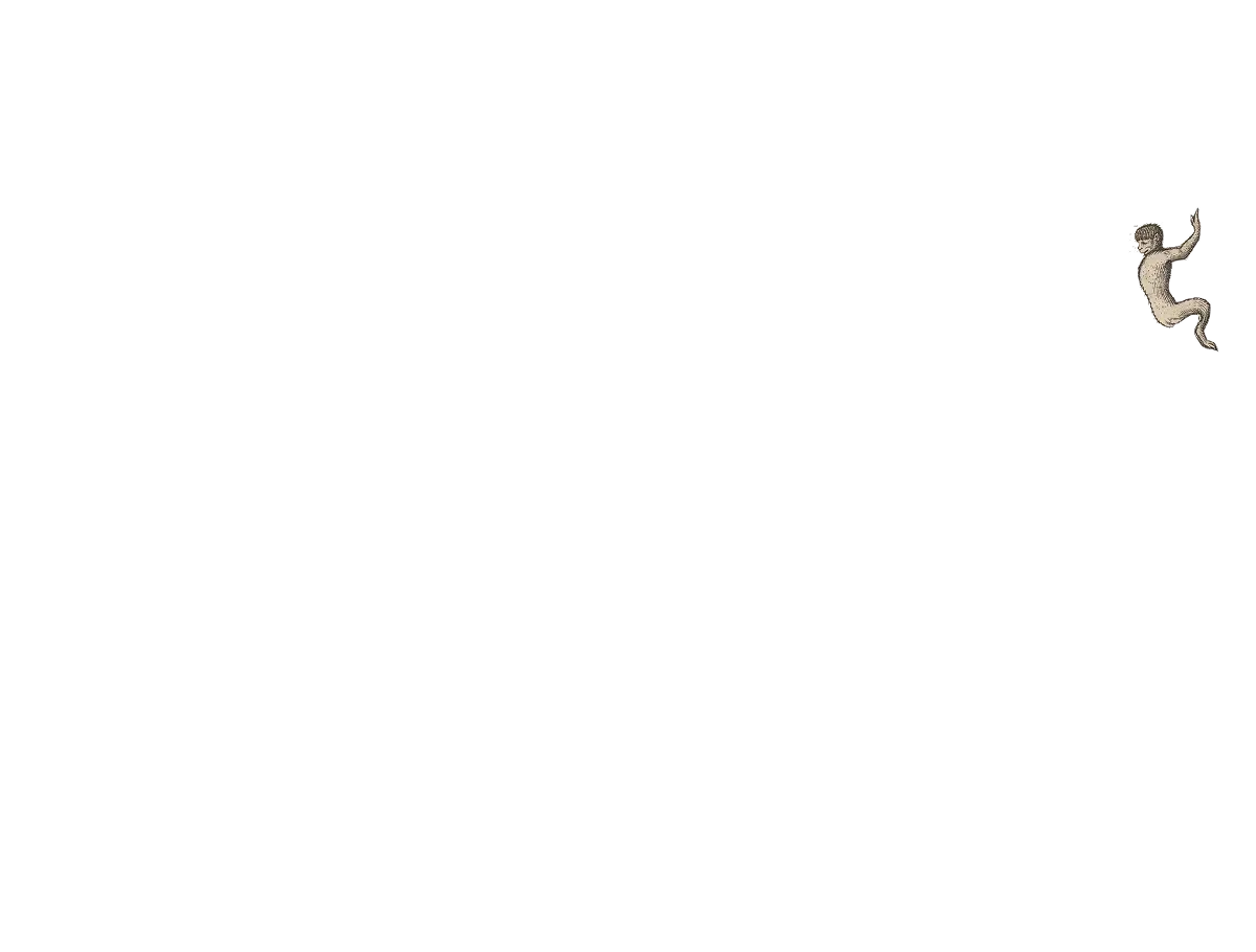 Aap 25